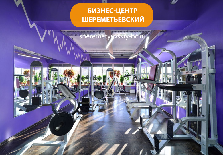 Бизнес-центр "Шереметьевский"